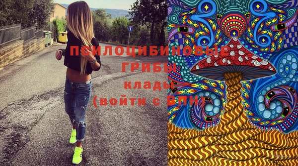 скорость Вяземский