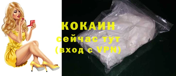 тгк Горняк