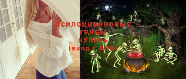тгк Горняк