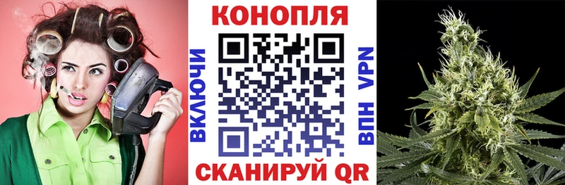 где купить наркоту  Элиста  ссылка на мегу как войти  Каннабис Ganja 